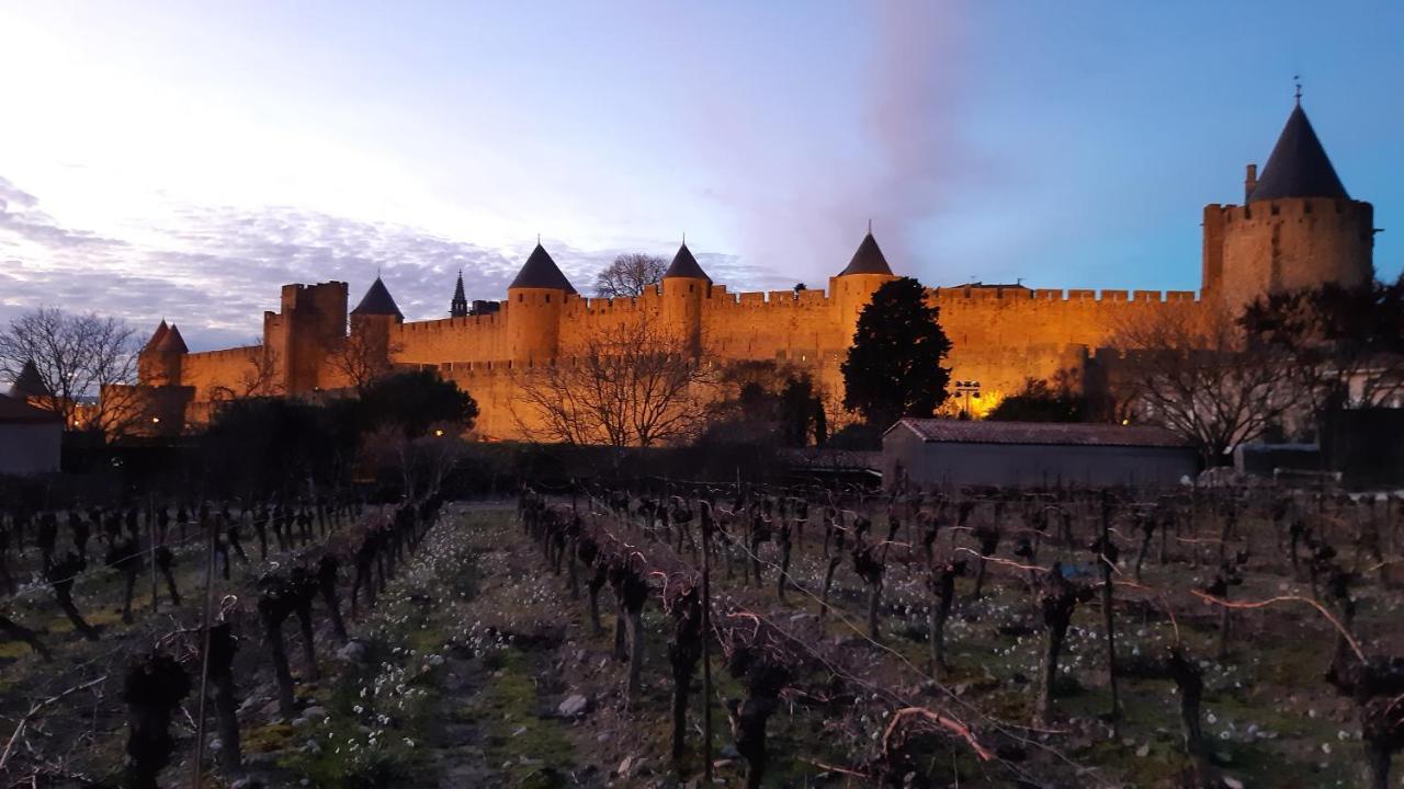 Domaine Fontgrande Gite Каркассон Экстерьер фото