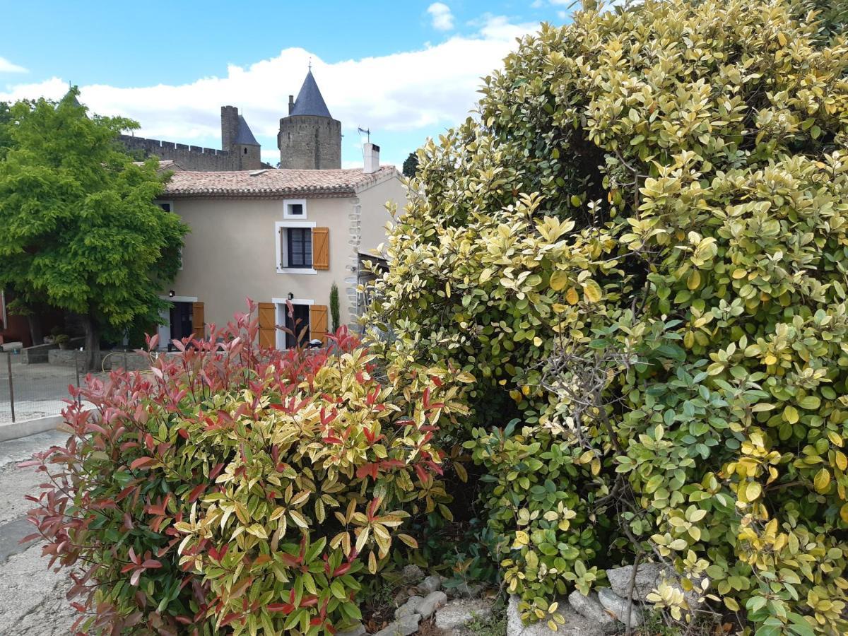 Domaine Fontgrande Gite Каркассон Экстерьер фото