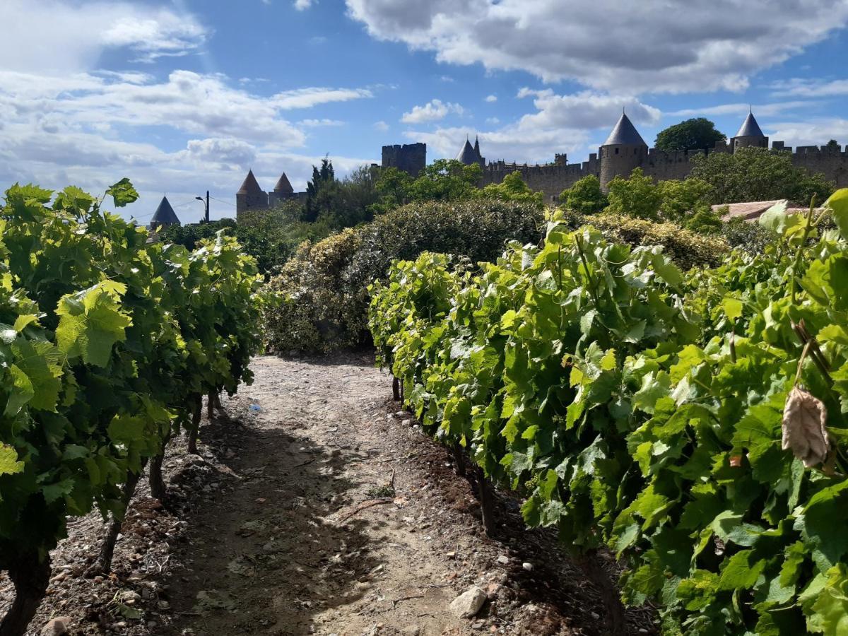 Domaine Fontgrande Gite Каркассон Экстерьер фото