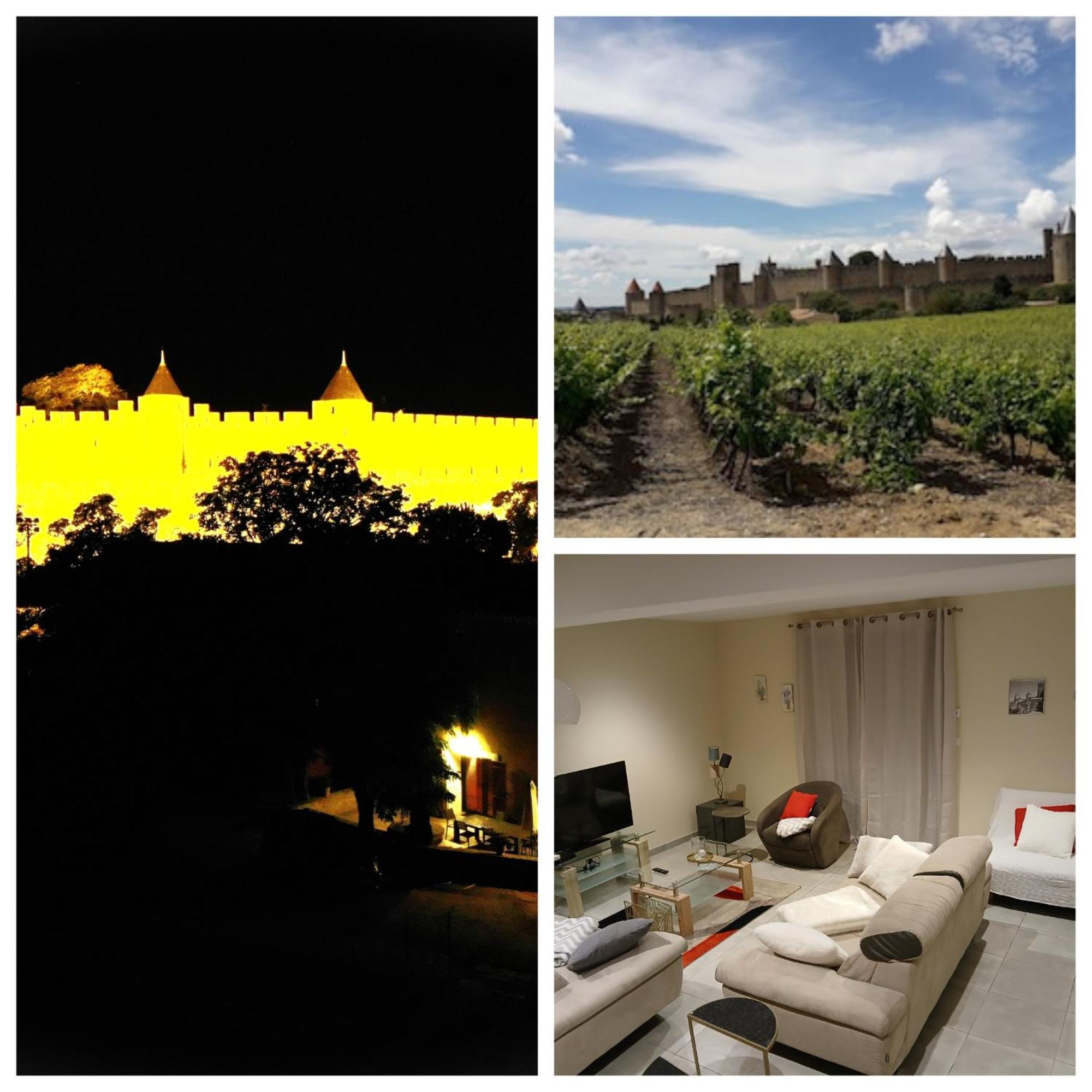 Domaine Fontgrande Gite Каркассон Экстерьер фото