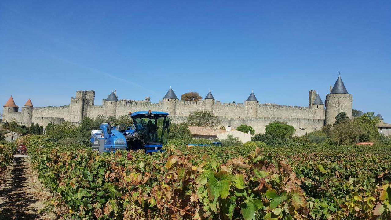 Domaine Fontgrande Gite Каркассон Экстерьер фото
