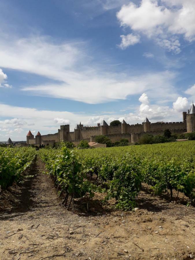 Domaine Fontgrande Gite Каркассон Экстерьер фото
